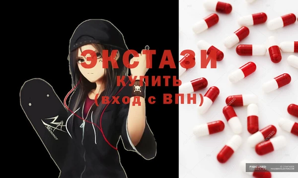 индика Нягань