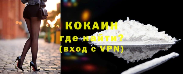 индика Нягань