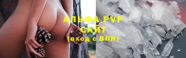 индика Нягань