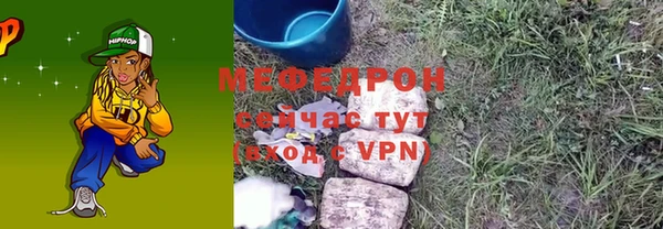 индика Нягань