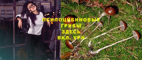 СК Осинники