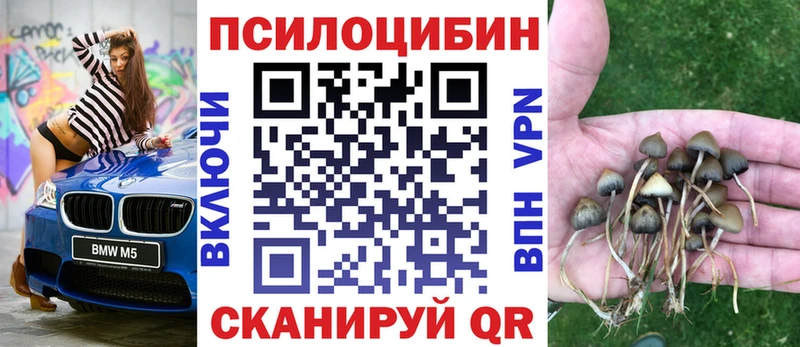 Псилоцибиновые грибы MAGIC MUSHROOMS  закладка  Калачинск 